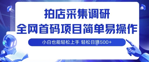 拍店采集调研，全网首码项目，简单易操作， 小白也能轻松上手，多账号操作，轻松日入5张【揭秘】-洛柒笔记