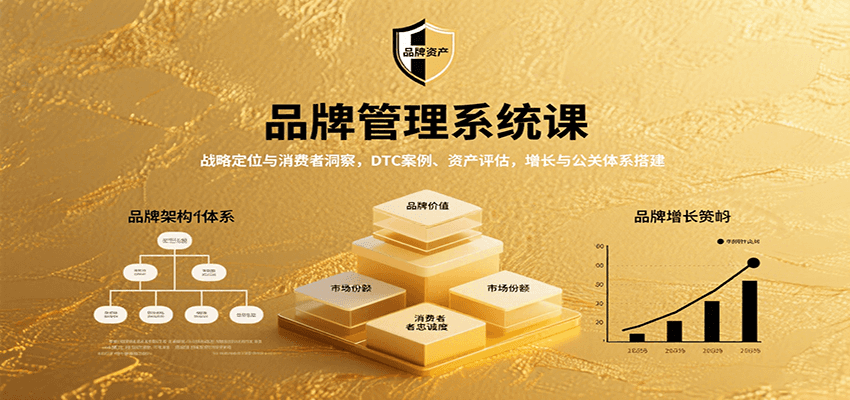 品牌管理系统课：战略定位与消费者洞察，DTC案例、资产评估，增长与公关体系搭建-洛柒笔记