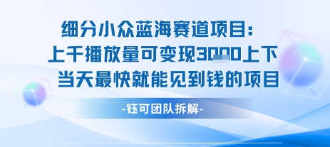 小众蓝海赛道项目：当天变现1k+适合新手操作 +适合长期玩-洛柒笔记