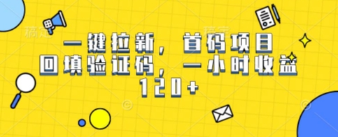 一键拉新，首码项目，回填验证码，一小时收益1张-洛柒笔记