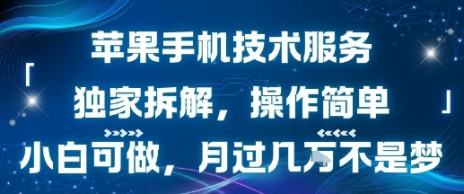 苹果手机技术服务，独家拆解，操作简单，小白可做，月过1W不是梦-洛柒笔记