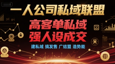 一人公司私域联盟，高客单私域，强人设成交，建私域 搞发售 广结盟 造势能-洛柒笔记