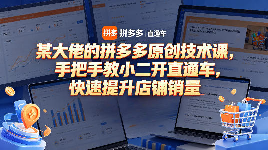 某大佬的拼多多原创技术课，手把手教小二开直通车，快速提升店铺销量-洛柒笔记