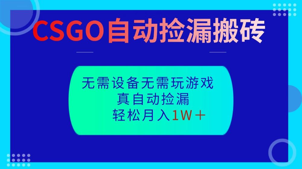 CSGO自动捡漏搬砖，当天操作当天见结果，无需了解游戏，包教包会包落地-洛柒笔记