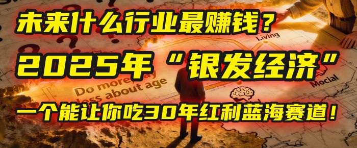 未来什么行业最赚钱？马哥揭秘2025年“银发经济”：一个能让你吃30年红利的蓝海赛道！-洛柒笔记