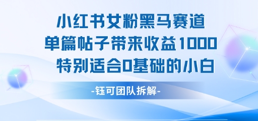 小红书女粉黑马赛道单篇帖子带来收益1k+，特别适合0基础的小白-洛柒笔记