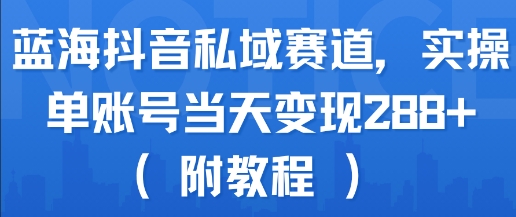 蓝海抖音私域赛道，实操单账号当天变现288+(附教程)-洛柒笔记