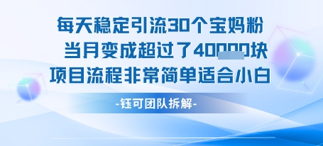 每天稳定引流30个人 当月变成超过了4个W项目流程非常简单适合小白-洛柒笔记