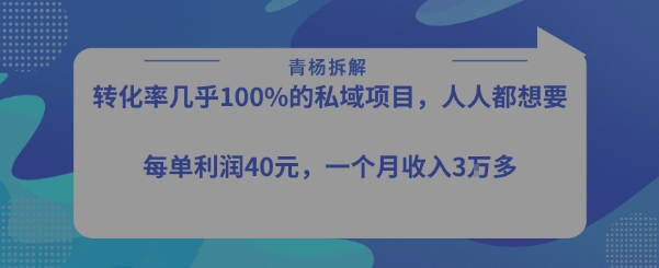 转化率最高的私域项目，每单利润40-50米，月入过1w-洛柒笔记