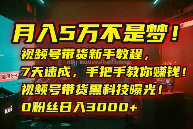 月入5万不是梦！视频号带货新手教程，7天速成，手把手教你赚钱！视频号…-洛柒笔记