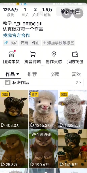抖音65W博主AI萌宠课程，新赛道流量大，原创+二创，全套课程+提示词-洛柒笔记