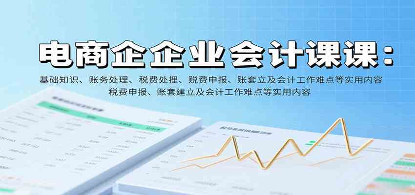 电商企业会计课：基础知识、账务处理、税费申报、账套建立及会计工作难点等实用内容-洛柒笔记