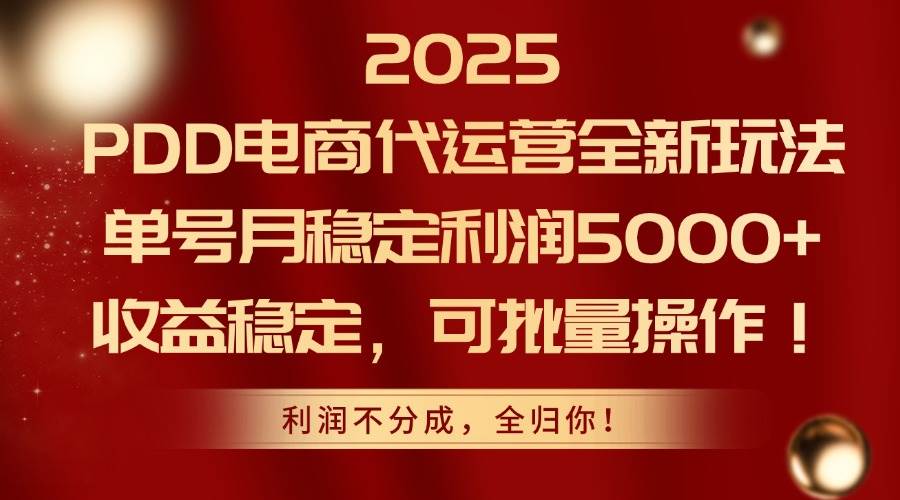 （14839期）2025PDD电商代运营全新玩法，单号月稳定利润5000+，收益稳定，可批量操作-洛柒笔记