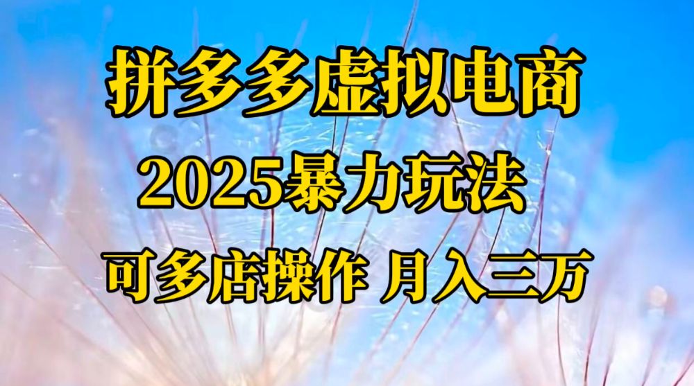 拼多多虚拟电商，不囤货不垫资的虚拟电商-洛柒笔记