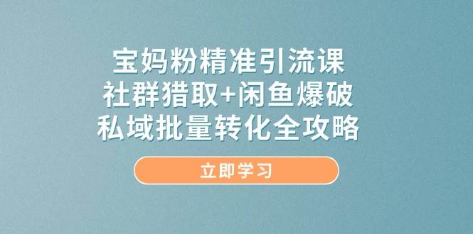 宝妈粉精准引流课，社群猎取+闲鱼爆破，私域批量转化全攻略-洛柒笔记