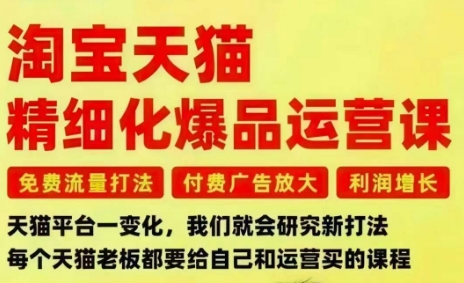 淘宝天猫精细化爆品运营课，免费流量打法-付费广告放大-利润增长-三大核心痛点，一次全部解决-洛柒笔记