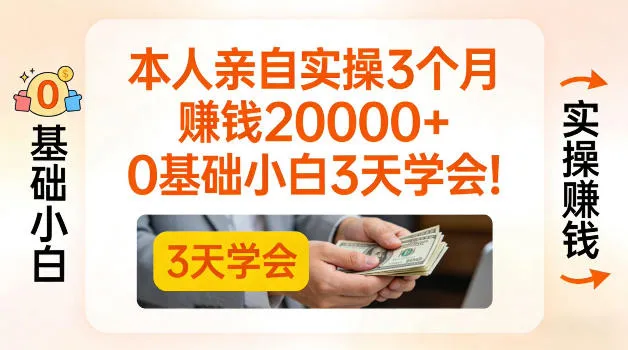 本人亲自实操3个月賺了2W+，0基础小白3天学会，0粉丝也可以做-洛柒笔记