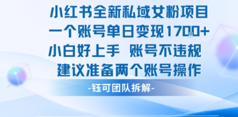 小红书全新私域女粉项目 单日变现1k+ 小白好上手账号不违规-洛柒笔记