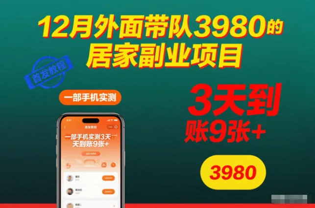 12月外面带队3980的居家副业项目，一部手机实测3天到账9张+，首发教程-洛柒笔记