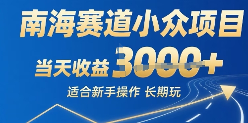 南海赛道小众项目，当天收益1k+适合新手操作可以长期玩-洛柒笔记