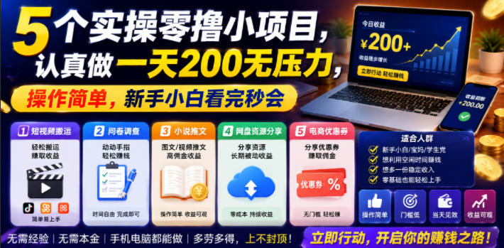 5个实操零撸小项目，认真做一天200无压力，操作简单，新手小白看完秒会【揭秘】-洛柒笔记
