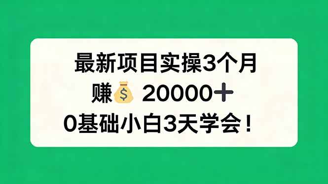 （17856期）最新项目实操3个月，赚钱20000+，0基础小白3天学会！-洛柒笔记