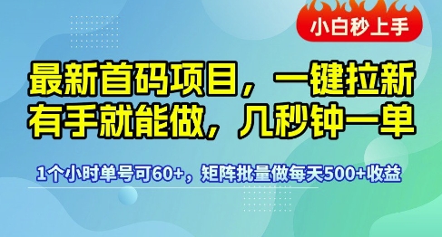 最新首码项目，一键拉新有手就能做，几秒钟一单，1个小时单号可60+，矩阵批量做每天5张【揭秘】-洛柒笔记