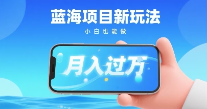 小红书蓝海项目新玩法，一部手机即可月入过W，推荐小白做非常简单认可度超高-洛柒笔记