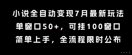 小说全自动变现7月玩法，单窗口50+，可挂100窗口，简单上手，全流程限时公布【揭秘】-洛柒笔记