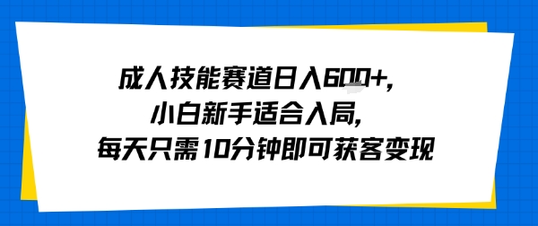 成人技能赛道日入多张，小白新手适合入局，每天只需10分钟即可获客变现-洛柒笔记