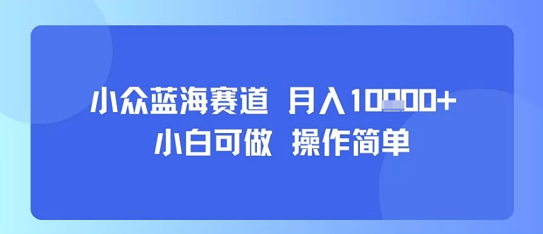 小众蓝海赛道，小白可做，操作简单，每天30分钟，月入1W+-洛柒笔记