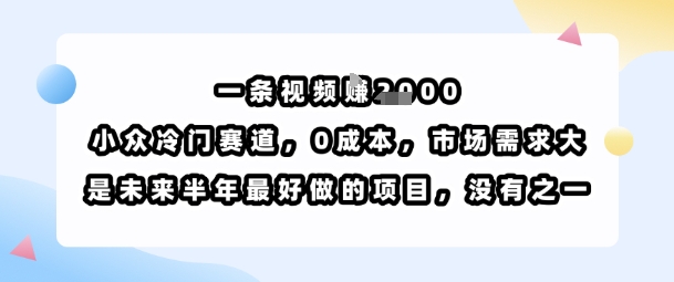 一条视频挣1k，小众冷门赛道，0成本，市场需求大，是未来半年最好做的项目，没有之一-洛柒笔记