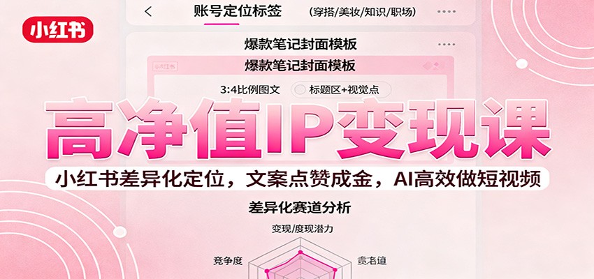 高净值IP变现课：小红书差异化定位，文案点赞成金， AI高效做短视频-洛柒笔记