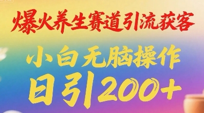 爆火养生赛道引流获客，小白无脑操作，日引200+-洛柒笔记