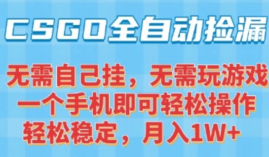 CSGO自动捡漏项目，最新独家玩法，一个手机可操作，新手小白轻松月入1W+，操作简单易上手【揭秘】-洛柒笔记
