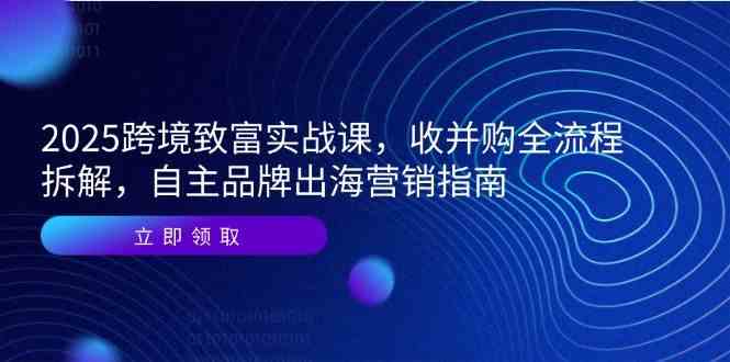 2025跨境致富实战课，收并购全流程拆解，自主品牌出海营销指南-洛柒笔记