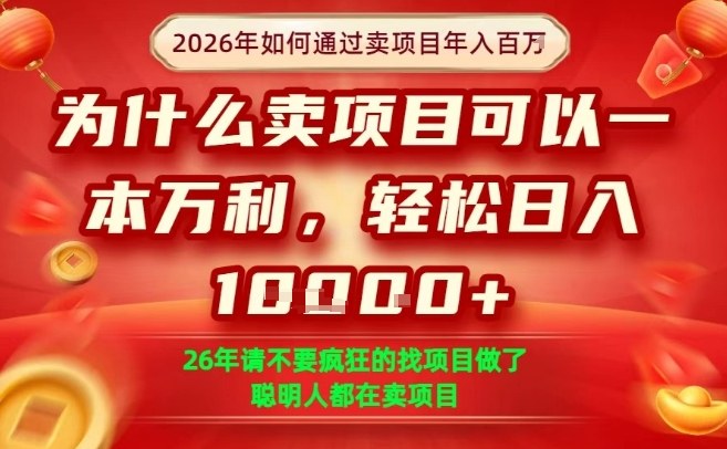 一单净利润1K+，26年想年入100个W，死磕卖项目就够了【揭秘】-洛柒笔记