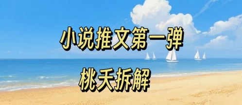 小说推文项目操作全流程第一弹，0粉就能做，门槛低非常适合新手-洛柒笔记