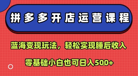 拼多多开店运营课程：蓝海变现玩法，轻松实现睡后收入，零基础小白也可日入5张-洛柒笔记