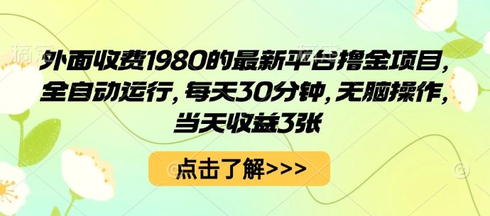 外面收费1980的最新平台撸金项目，全自动运行，每天30分钟，无脑操作，当天收益3张-洛柒笔记