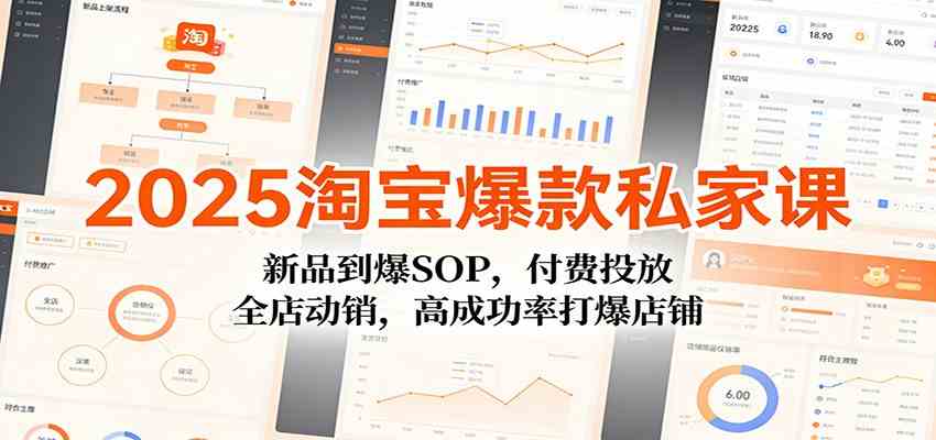 2025淘宝爆款私家课：新品到爆SOP，付费投放，全店动销，高成功率打爆店铺-洛柒笔记