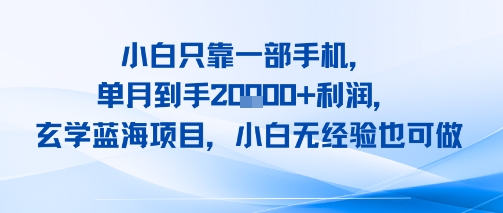 小白只靠一部手机，单月到手2W+利润，玄学蓝海项目，小白无经验也可做-洛柒笔记