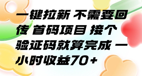 一键拉新 不需要回传 首码项目 接个验证码就算完成 一小时收益70+【揭秘】-洛柒笔记