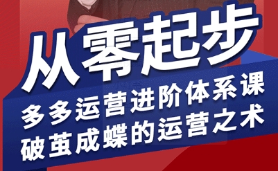 拼多多运营进阶系统课，从零起步，多多运营进阶体系课，破茧成蝶的运营之术-洛柒笔记