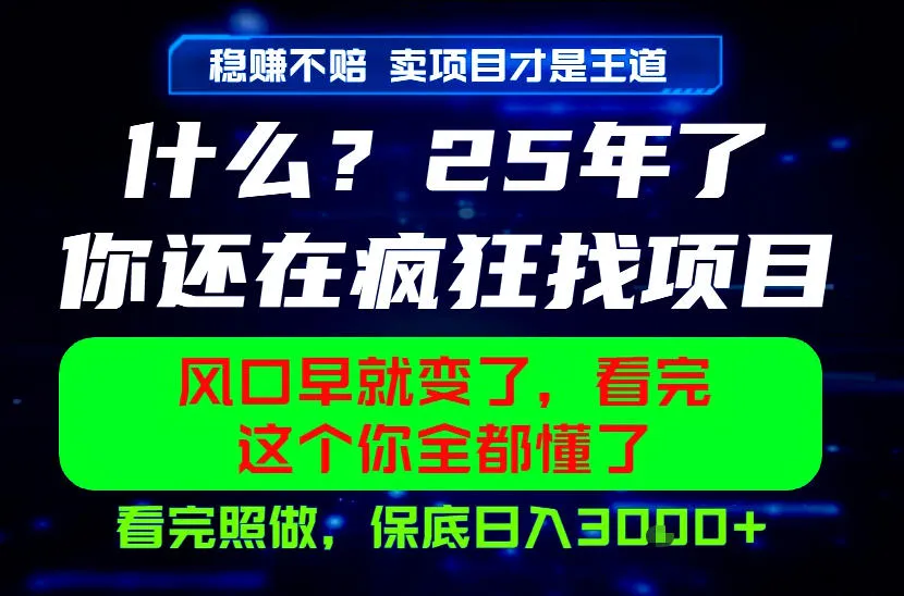 26年，请不要疯狂的找项目做了！卖项目才是真的稳賺不赔，看完照做，保底日入1k+-洛柒笔记