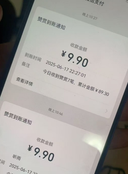 二次元男粉快速变现项目，私域卖虚拟产品，百分利润-洛柒笔记