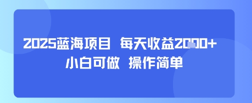 2025蓝海项目 每天收益多张 小白可做 操作简单-洛柒笔记