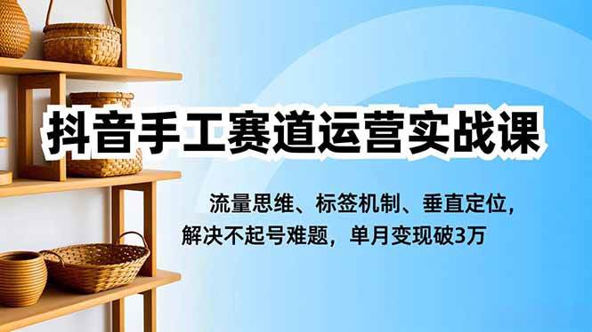 （16667期）抖音手工赛道运营实战课，流量思维、标签机制、垂直定位，解决不起号难题，单月变现破3万-洛柒笔记