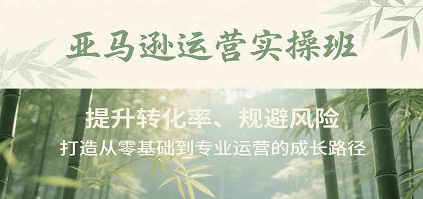 亚马逊运营实操班，提升转化率、规避风险，打造从零基础到专业运营的成长路径-洛柒笔记