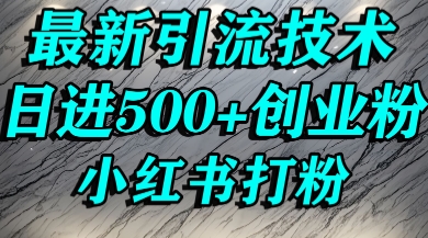 小红书精准引流创业粉，前辈求带孩子走投无路了，单人操作日引500+精准创业粉-洛柒笔记